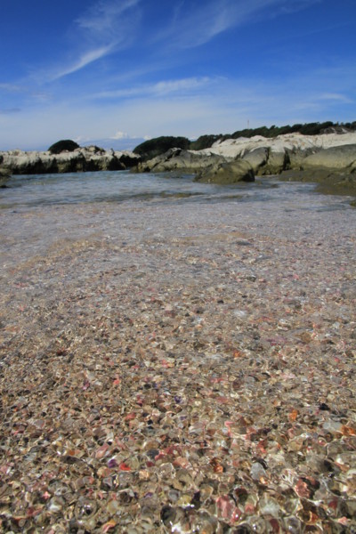 f:id:mamimami_LA:20120908111339j:image f:id:mamimami_LA:20120908111339j:image