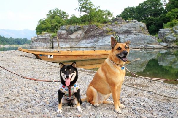 f:id:mamimami_LA:20120914075846j:image f:id:mamimami_LA:20120914075846j:image