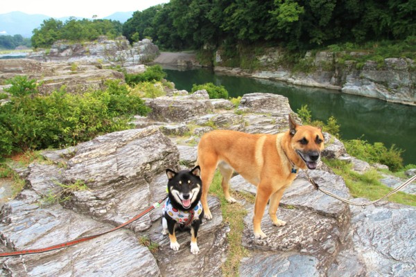 f:id:mamimami_LA:20120914080834j:image f:id:mamimami_LA:20120914080834j:image