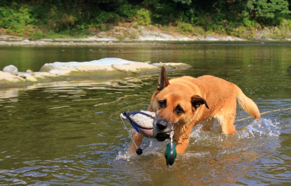 f:id:mamimami_LA:20120914085957j:image f:id:mamimami_LA:20120914085957j:image