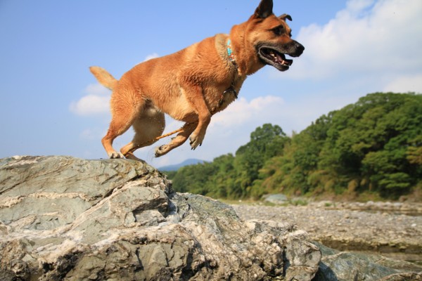 f:id:mamimami_LA:20120914091249j:image f:id:mamimami_LA:20120914091249j:image