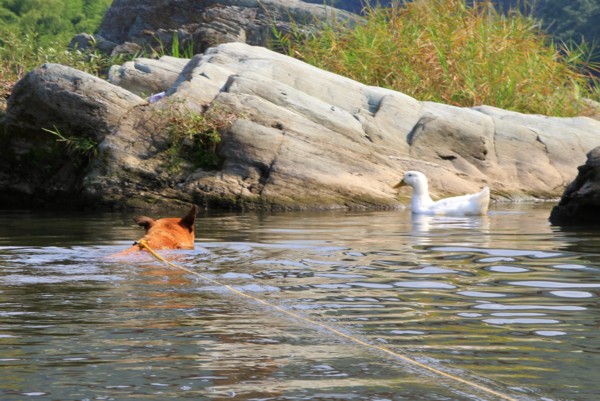 f:id:mamimami_LA:20120914093026j:image f:id:mamimami_LA:20120914093026j:image