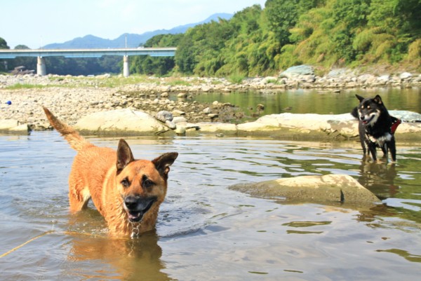 f:id:mamimami_LA:20120914093216j:image f:id:mamimami_LA:20120914093216j:image