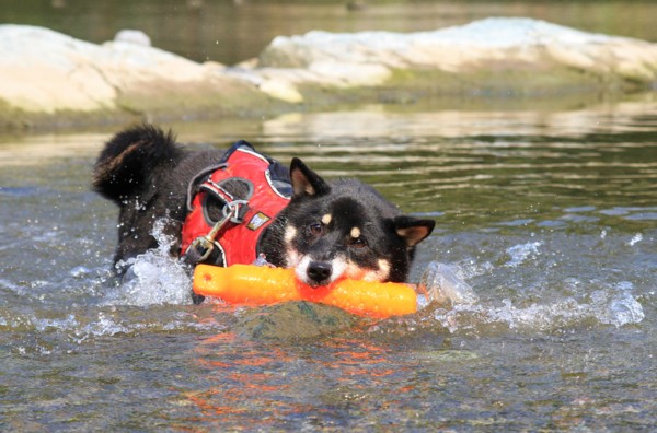 f:id:mamimami_LA:20120914093753j:image f:id:mamimami_LA:20120914093753j:image