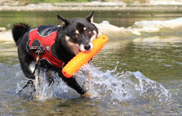 f:id:mamimami_LA:20120914093816j:image f:id:mamimami_LA:20120914093816j:image