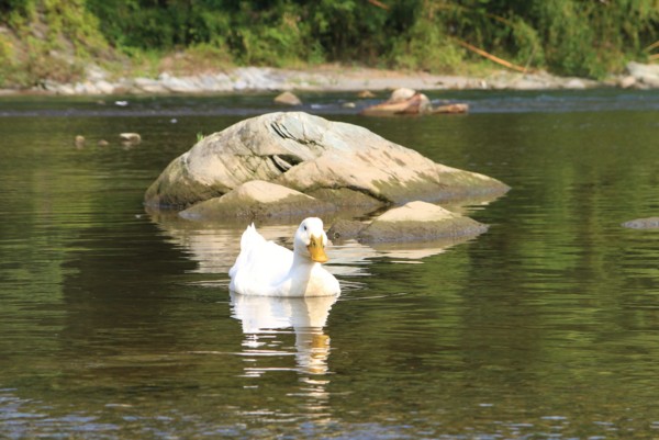 f:id:mamimami_LA:20120914094331j:image f:id:mamimami_LA:20120914094331j:image