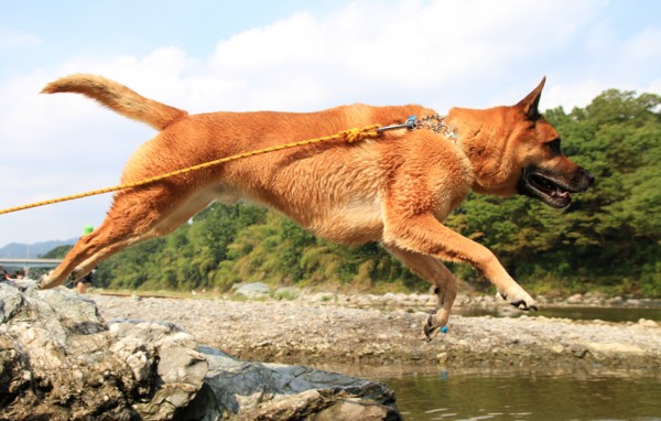 f:id:mamimami_LA:20120914094623j:image f:id:mamimami_LA:20120914094623j:image