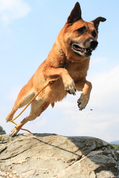 f:id:mamimami_LA:20120914094644j:image f:id:mamimami_LA:20120914094644j:image