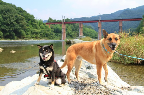 f:id:mamimami_LA:20120914102852j:image f:id:mamimami_LA:20120914102852j:image