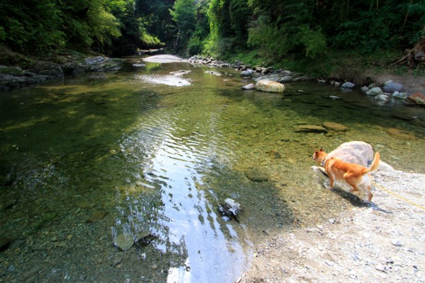 f:id:mamimami_LA:20120914105527j:image f:id:mamimami_LA:20120914105527j:image