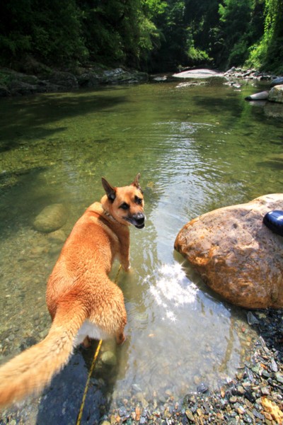 f:id:mamimami_LA:20120914105902j:image f:id:mamimami_LA:20120914105902j:image