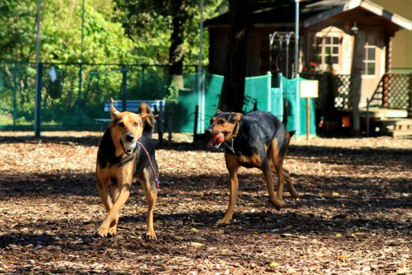 f:id:mamimami_LA:20121019094857j:image