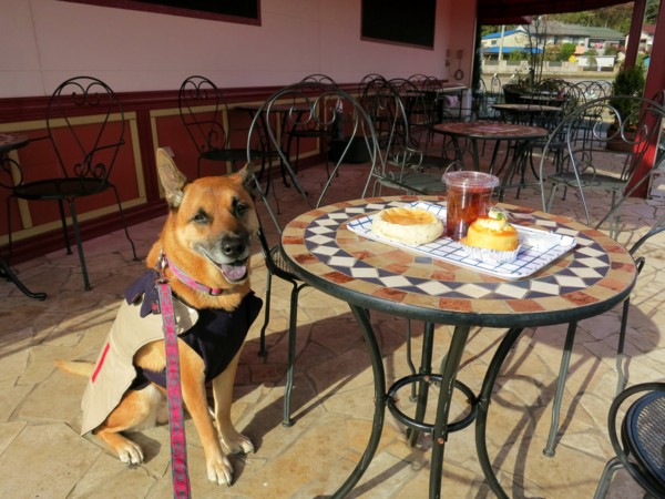 f:id:mamimami_LA:20121115133833j:image