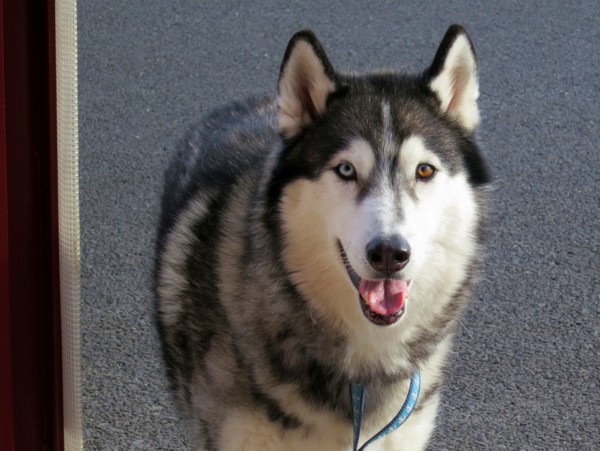 f:id:mamimami_LA:20121115141412j:image