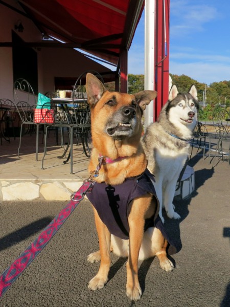 f:id:mamimami_LA:20121115143100j:image