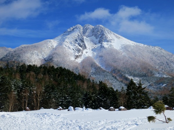 f:id:mamimami_LA:20130209132642j:image f:id:mamimami_LA:20130209132642j:image