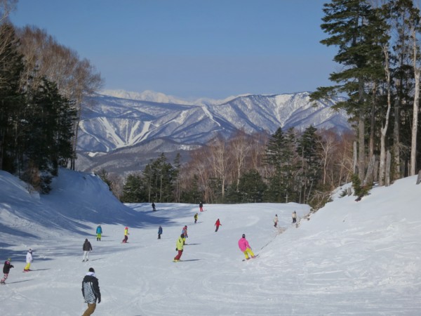 f:id:mamimami_LA:20130309092234j:image f:id:mamimami_LA:20130309092234j:image