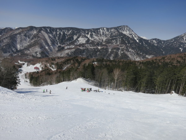 f:id:mamimami_LA:20130309124456j:image f:id:mamimami_LA:20130309124456j:image