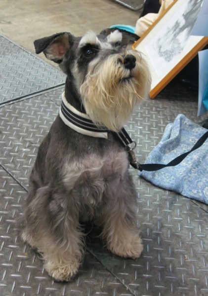 f:id:mamimami_LA:20130407151507j:image