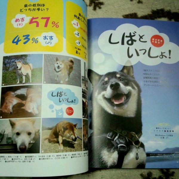 f:id:mamimami_LA:20130409121723j:image f:id:mamimami_LA:20130409121723j:image