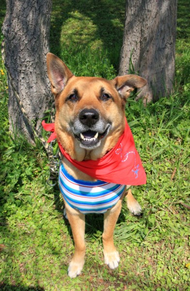 f:id:mamimami_LA:20130422110009j:image f:id:mamimami_LA:20130422110009j:image