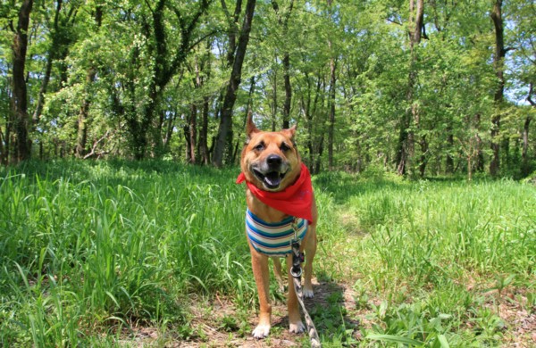 f:id:mamimami_LA:20130422110852j:image f:id:mamimami_LA:20130422110852j:image