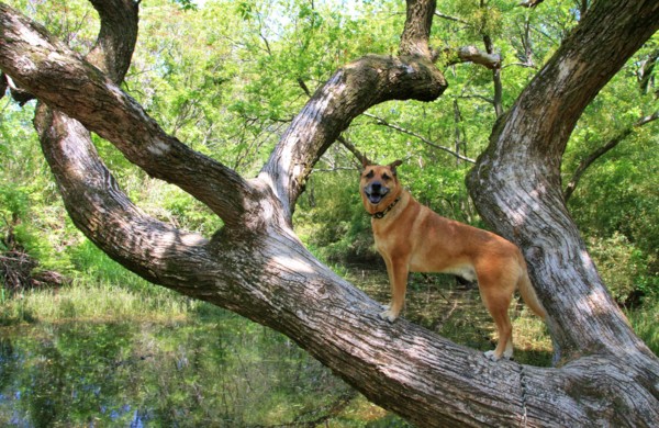 f:id:mamimami_LA:20130422111410j:image f:id:mamimami_LA:20130422111410j:image