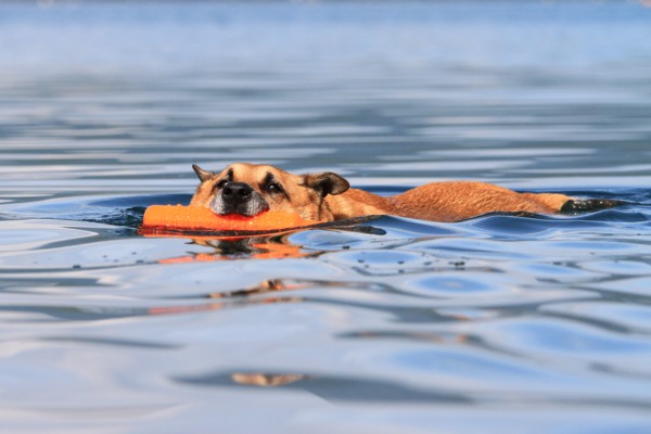 f:id:mamimami_LA:20130721081630j:image f:id:mamimami_LA:20130721081630j:image