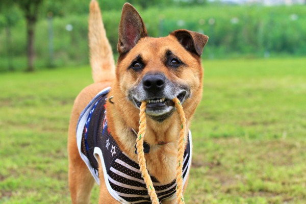 f:id:mamimami_LA:20130730090223j:image