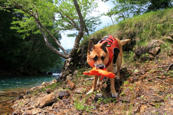 f:id:mamimami_LA:20130811113629j:image