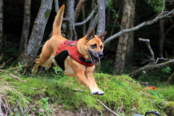 f:id:mamimami_LA:20130811113827j:image