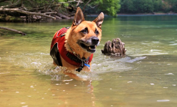 f:id:mamimami_LA:20130811115121j:image