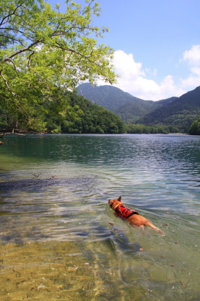 f:id:mamimami_LA:20130811120126j:image