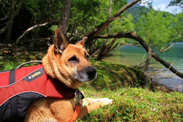 f:id:mamimami_LA:20130811122942j:image