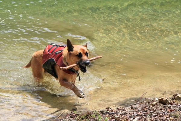 f:id:mamimami_LA:20130811123343j:image