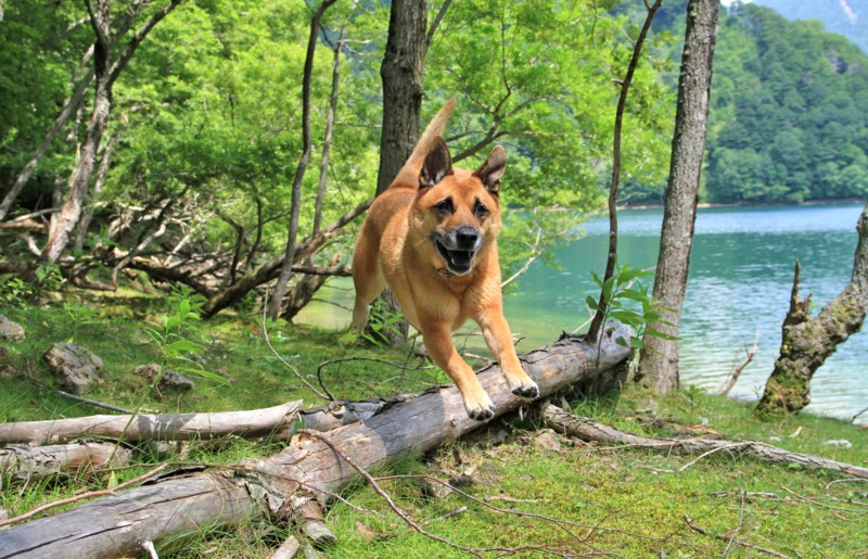 f:id:mamimami_LA:20130811125640j:image