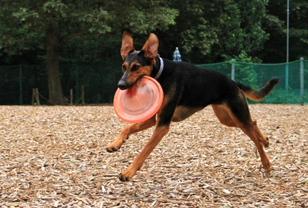 f:id:mamimami_LA:20130823100158j:image f:id:mamimami_LA:20130823100158j:image