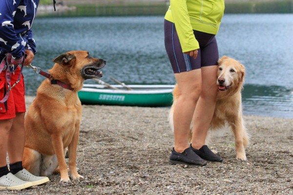 f:id:mamimami_LA:20130824091008j:image f:id:mamimami_LA:20130824091008j:image