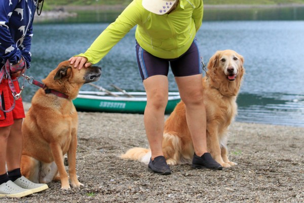 f:id:mamimami_LA:20130824091010j:image f:id:mamimami_LA:20130824091010j:image