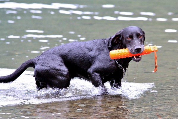 f:id:mamimami_LA:20130824094801j:image f:id:mamimami_LA:20130824094801j:image