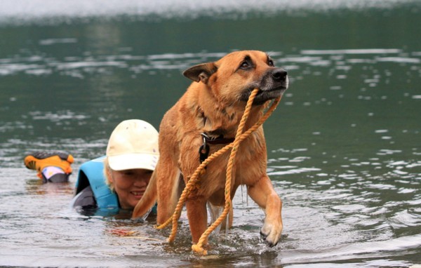 f:id:mamimami_LA:20130824095403j:image f:id:mamimami_LA:20130824095403j:image