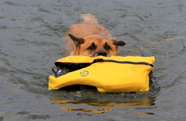 f:id:mamimami_LA:20130824100457j:image f:id:mamimami_LA:20130824100457j:image