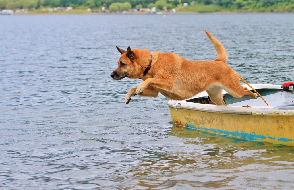 f:id:mamimami_LA:20130824100651j:image f:id:mamimami_LA:20130824100651j:image