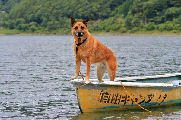 f:id:mamimami_LA:20130824100911j:image f:id:mamimami_LA:20130824100911j:image