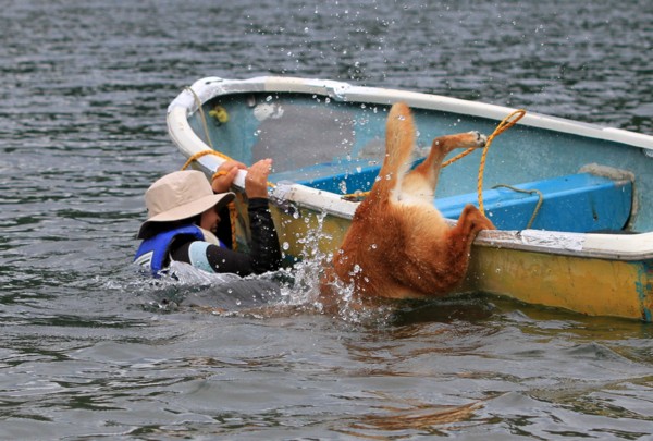 f:id:mamimami_LA:20130824101012j:image f:id:mamimami_LA:20130824101012j:image