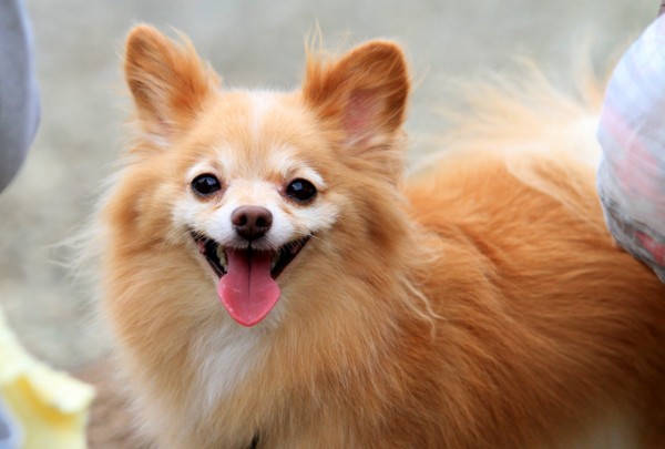 f:id:mamimami_LA:20130824103326j:image f:id:mamimami_LA:20130824103326j:image