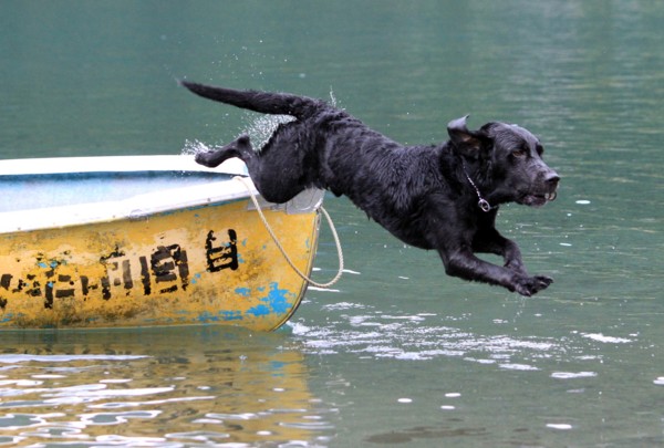 f:id:mamimami_LA:20130824105320j:image f:id:mamimami_LA:20130824105320j:image