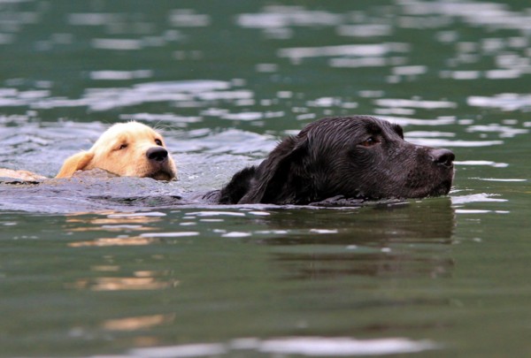 f:id:mamimami_LA:20130824110958j:image f:id:mamimami_LA:20130824110958j:image