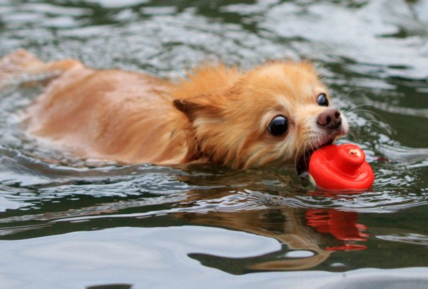 f:id:mamimami_LA:20130824112926j:image f:id:mamimami_LA:20130824112926j:image