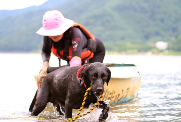 f:id:mamimami_LA:20130824114205j:image f:id:mamimami_LA:20130824114205j:image